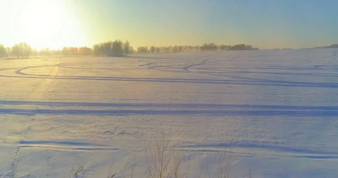Aerial drone view of cold winter landscape with arctic field, trees covered with Stock Footage 127493913