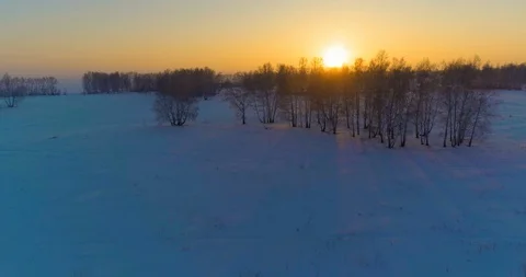 Aerial drone view of cold winter landscape with arctic field, trees covered with Stock Footage 129237306
