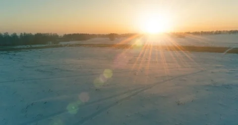 Aerial drone view of cold winter landscape with arctic field, trees covered with Stock Footage 129238996