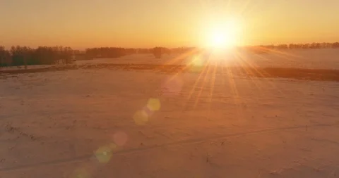 Aerial drone view of cold winter landscape with arctic field, trees covered with Stock Footage 129240202