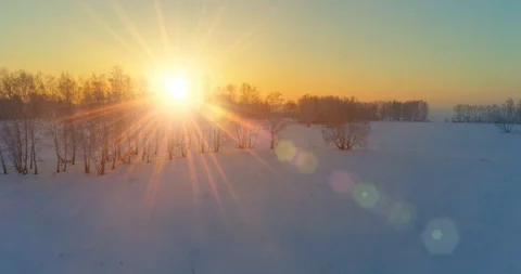 Aerial drone view of cold winter landscape with arctic field, trees covered with Stock Footage 129242463