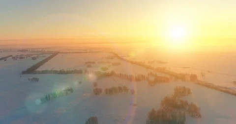Aerial drone view of cold winter landscape with arctic field, trees covered with Stock Footage 129244078