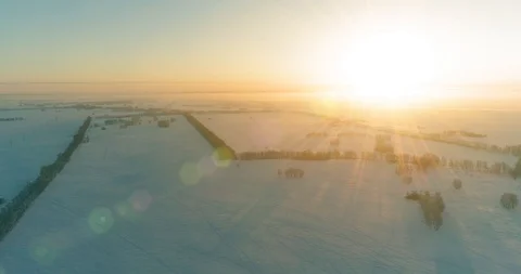 Aerial drone view of cold winter landscape with arctic field, trees covered with Stock Footage 129245113