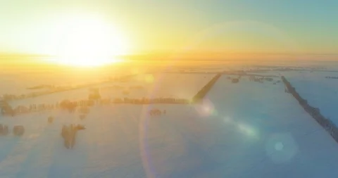 Aerial drone view of cold winter landscape with arctic field, trees covered with Stock Footage 129245323