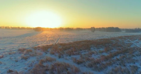 Aerial drone view of cold winter landscape with arctic field, trees covered with Stock Footage 129247205