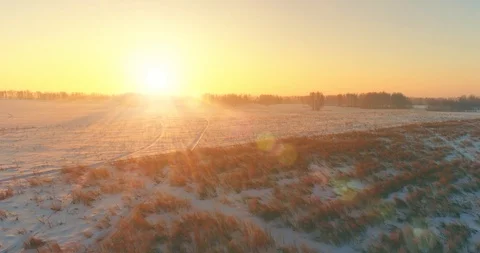 Aerial drone view of cold winter landscape with arctic field, trees covered with Stock Footage 129248348