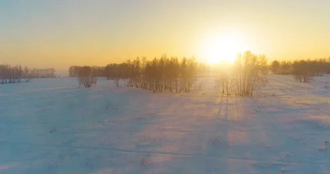 Aerial drone view of cold winter landscape with arctic field, trees covered with Stock Footage 129248736