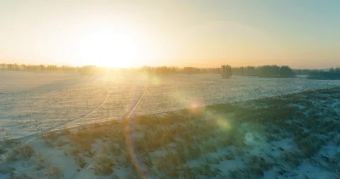 Aerial drone view of cold winter landscape with arctic field, trees covered with Stock Footage 129248890