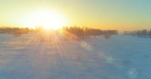 Aerial drone view of cold winter landscape with arctic field, trees covered with Video stock 129249122