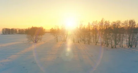 Aerial drone view of cold winter landscape with arctic field, trees covered with Stock Footage 129250522