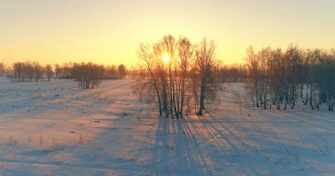 Aerial drone view of cold winter landscape with arctic field, trees covered with Stock Footage 129250787