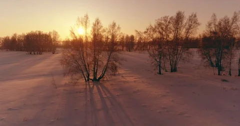 Aerial drone view of cold winter landscape with arctic field, trees covered with Stock Footage 129252494