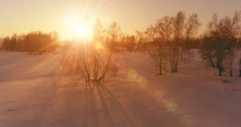 Aerial drone view of cold winter landscape with arctic field, trees covered with Stock Footage 129252733