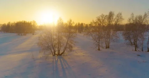 Aerial drone view of cold winter landscape with arctic field, trees covered with Stock Footage 129252959
