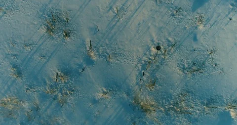 Aerial drone view of cold winter landscape with arctic field, trees covered with Stock Footage 129253569