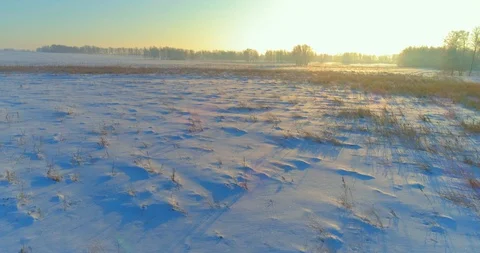 Aerial drone view of cold winter landscape with arctic field, trees covered with Stock Footage 129254675