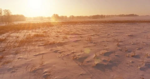Aerial drone view of cold winter landscape with arctic field, trees covered with Vidéo 129255529