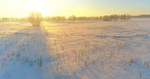 Aerial drone view of cold winter landscape with arctic field, trees covered with Stock Footage 129256299