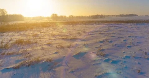 Aerial drone view of cold winter landscape with arctic field, trees covered with Stock Footage 129256427