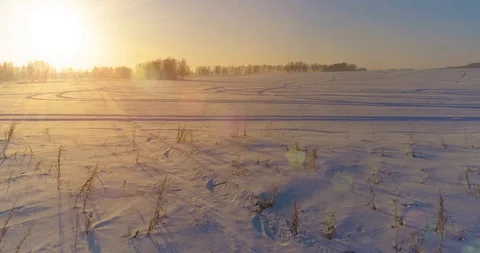 Aerial drone view of cold winter landscape with arctic field, trees covered with Stock Footage 129257750