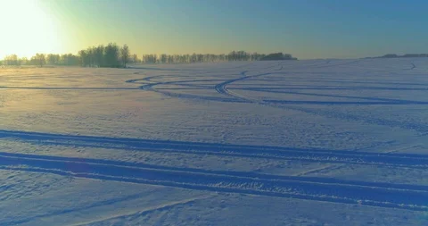 Aerial drone view of cold winter landscape with arctic field, trees covered with Stock Footage 129258997