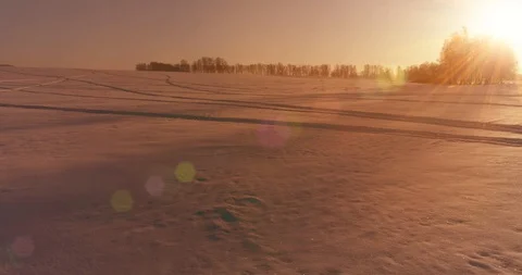 Aerial drone view of cold winter landscape with arctic field, trees covered with Stock Footage 129259136