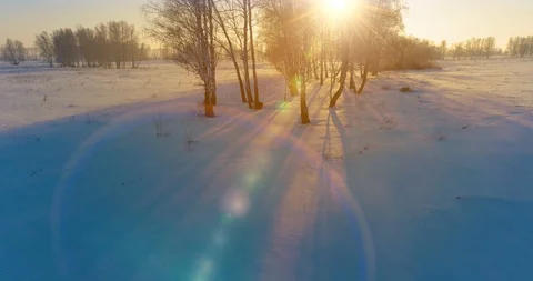 Aerial drone view of cold winter landscape with arctic field, trees covered with Stock Footage 129259835