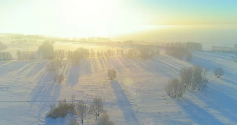 Aerial drone view of cold winter landscape with arctic field, trees covered with Stock Footage 129260453