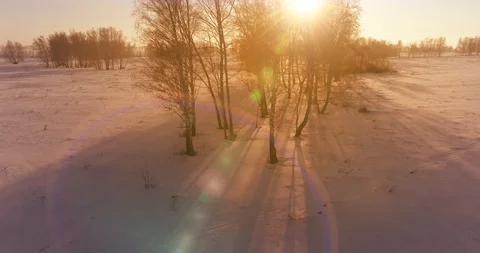 Aerial drone view of cold winter landscape with arctic field, trees covered with Video stock 129260583
