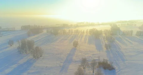 Aerial drone view of cold winter landscape with arctic field, trees covered with Stock Footage 129260951