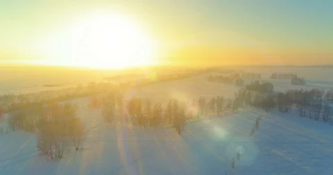 Aerial drone view of cold winter landscape with arctic field, trees covered with Stock Footage 129283812