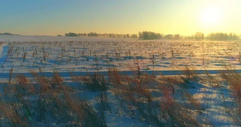 Aerial drone view of cold winter landscape with arctic field, trees covered with Stock Footage 129284595