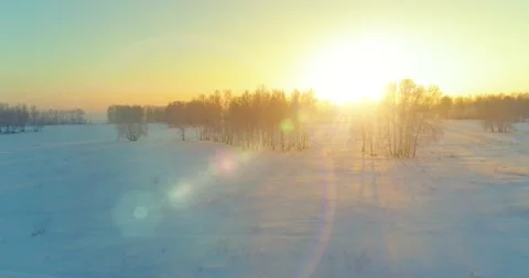 Aerial drone view of cold winter landscape with arctic field, trees covered with Stock Footage 131043352
