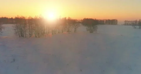Aerial drone view of cold winter landscape with arctic field, trees covered with Stock Footage 135552629