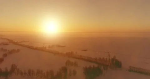 Aerial drone view of cold winter landscape with arctic field, trees covered with Stock Footage 147508049