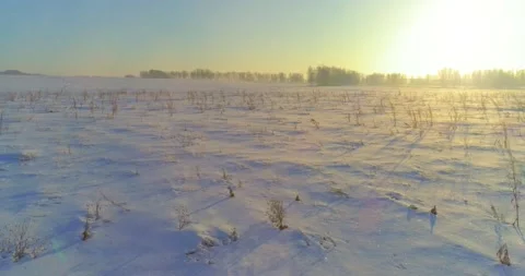 Aerial drone view of cold winter landscape with arctic field, trees covered with Stock Footage 151295384