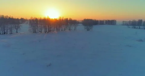 Aerial drone view of cold winter landscape with arctic field, trees covered with Stock Footage 152987713