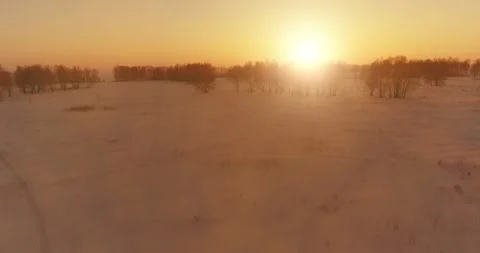 Aerial drone view of cold winter landscape with arctic field, trees covered with Stock Footage 152987943