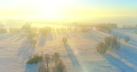 Aerial drone view of cold winter landscape with arctic field, trees covered with Video stock 197368881