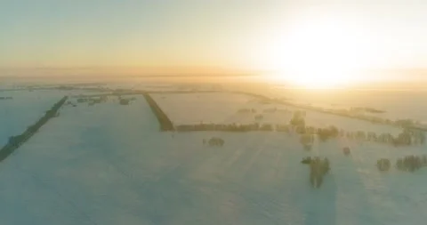 Aerial drone view of cold winter landscape with arctic field, trees covered with Stock Footage 221680764