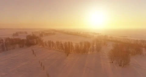 Aerial drone view of cold winter landscape with arctic field, trees covered with Video stock 221681085