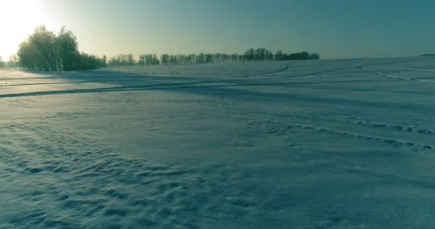 Aerial drone view of cold winter landscape with arctic field, trees covered with Stock Footage 221681476