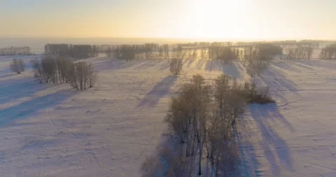 Aerial drone view of cold winter landscape with arctic field, trees covered with Stock Footage 221683219