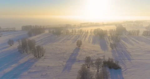 Aerial drone view of cold winter landscape with arctic field, trees covered with Stock Footage 221683237