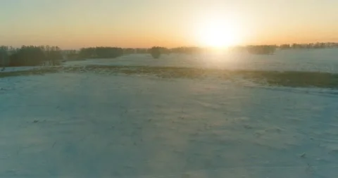 Aerial drone view of cold winter landscape with arctic field, trees covered with Stock Footage 221688814