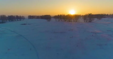 Aerial drone view of cold winter landscape with arctic field, trees covered with Stock Footage 221688911