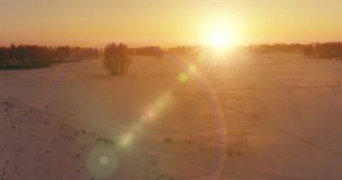 Aerial drone view of cold winter landscape with arctic field, trees covered with Stock Footage 221688941