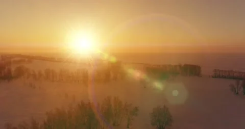 Aerial drone view of cold winter landscape with arctic field, trees covered with Stock Footage 221689257