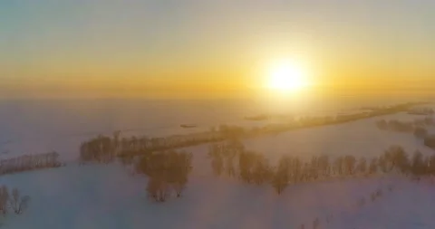 Aerial drone view of cold winter landscape with arctic field, trees covered with Stock Footage 221689335