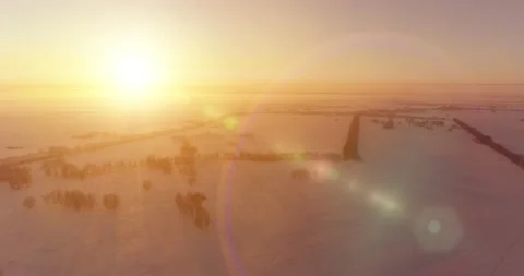 Aerial drone view of cold winter landscape with arctic field, trees covered with Stock Footage 221689423